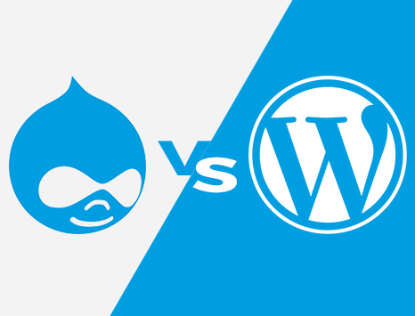 Drupal vs. WordPress – Finding the Best CMS Tool