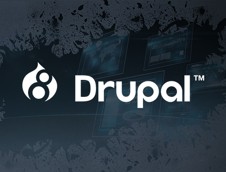 Development Of Data Driven Web Applications Made Easy With Drupal