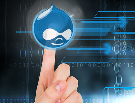 Why Drupal Development Services Are Mostly Preferred Today?