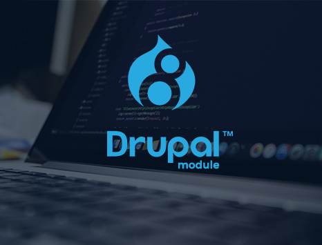 Drupal Modules to Increase Website Traffic