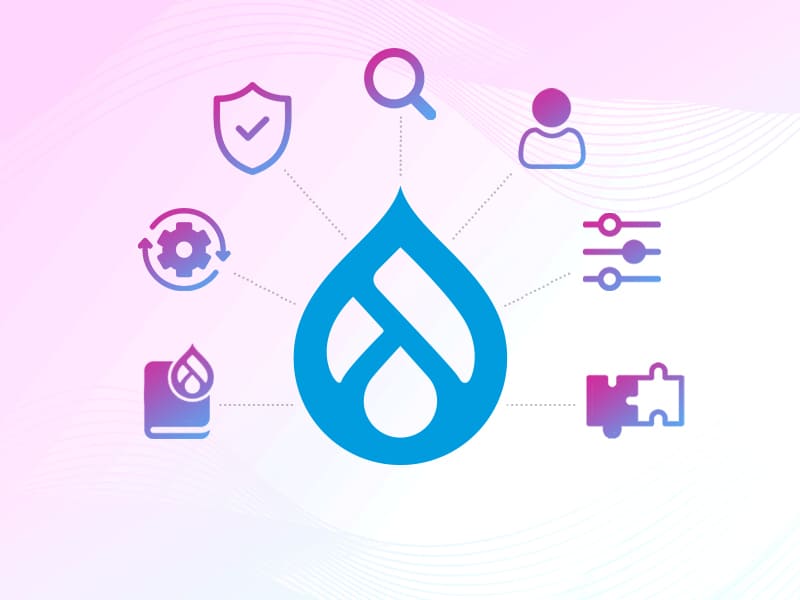 Drupal best CMS for business