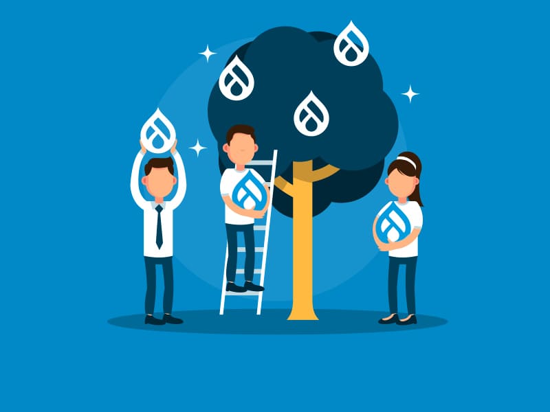 Drupal Contribution