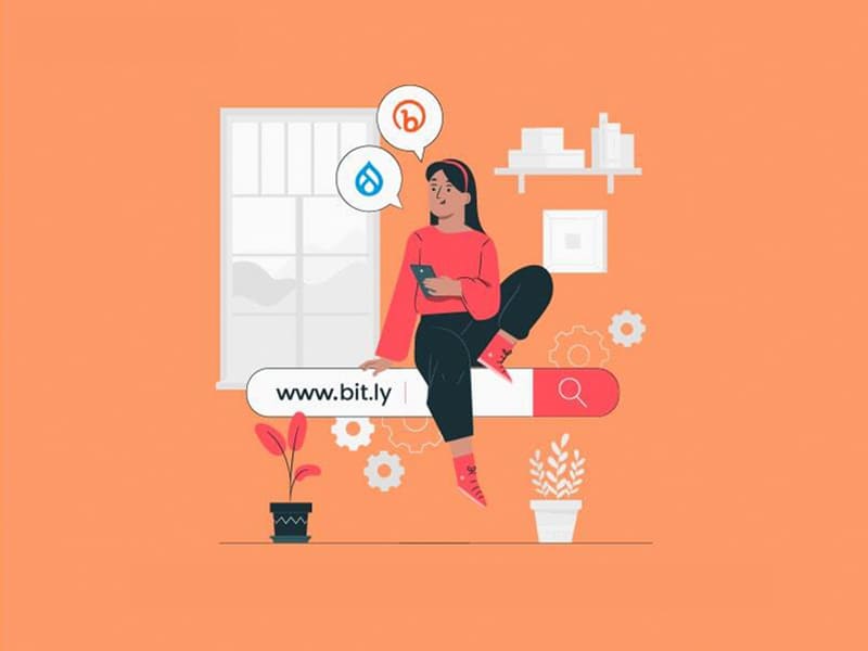 Drupal with Bitly teaser