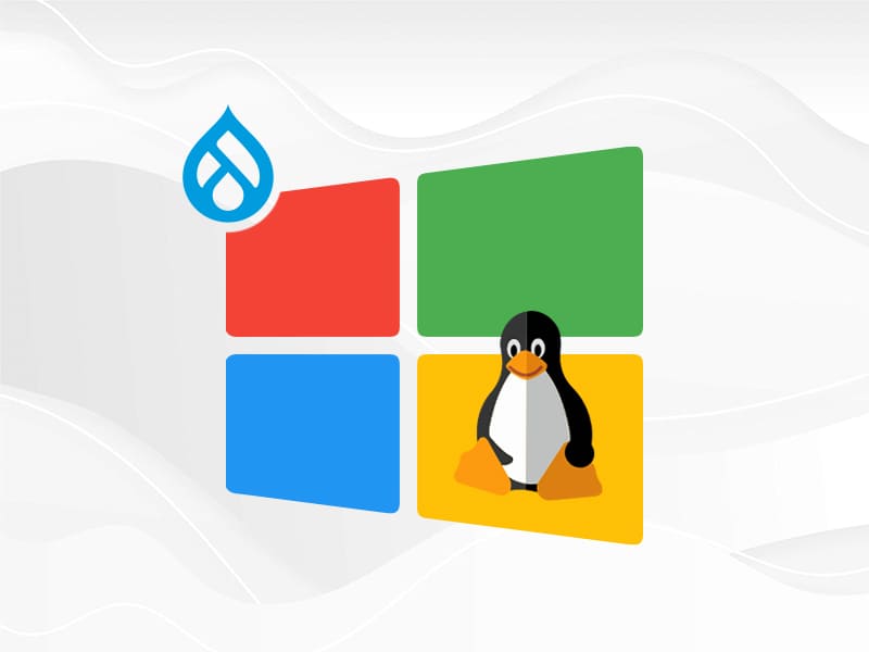 Drupal 9 on windows teaser