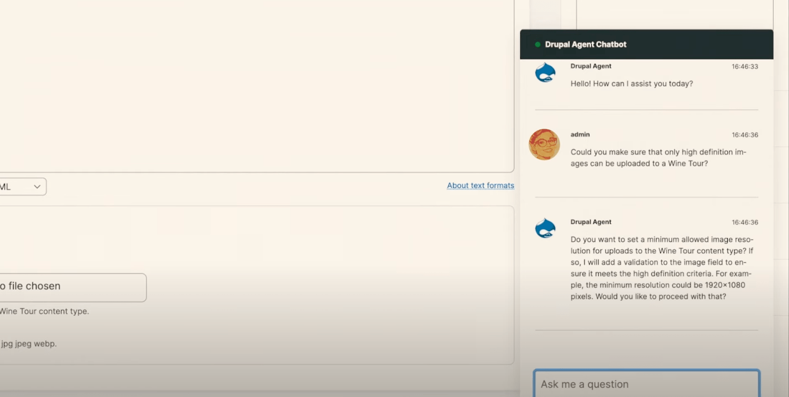 demo ai agent chatbot