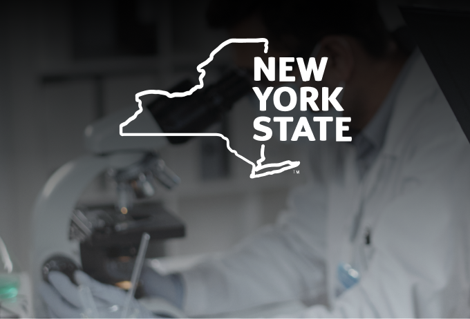 nys wadsworth teaser