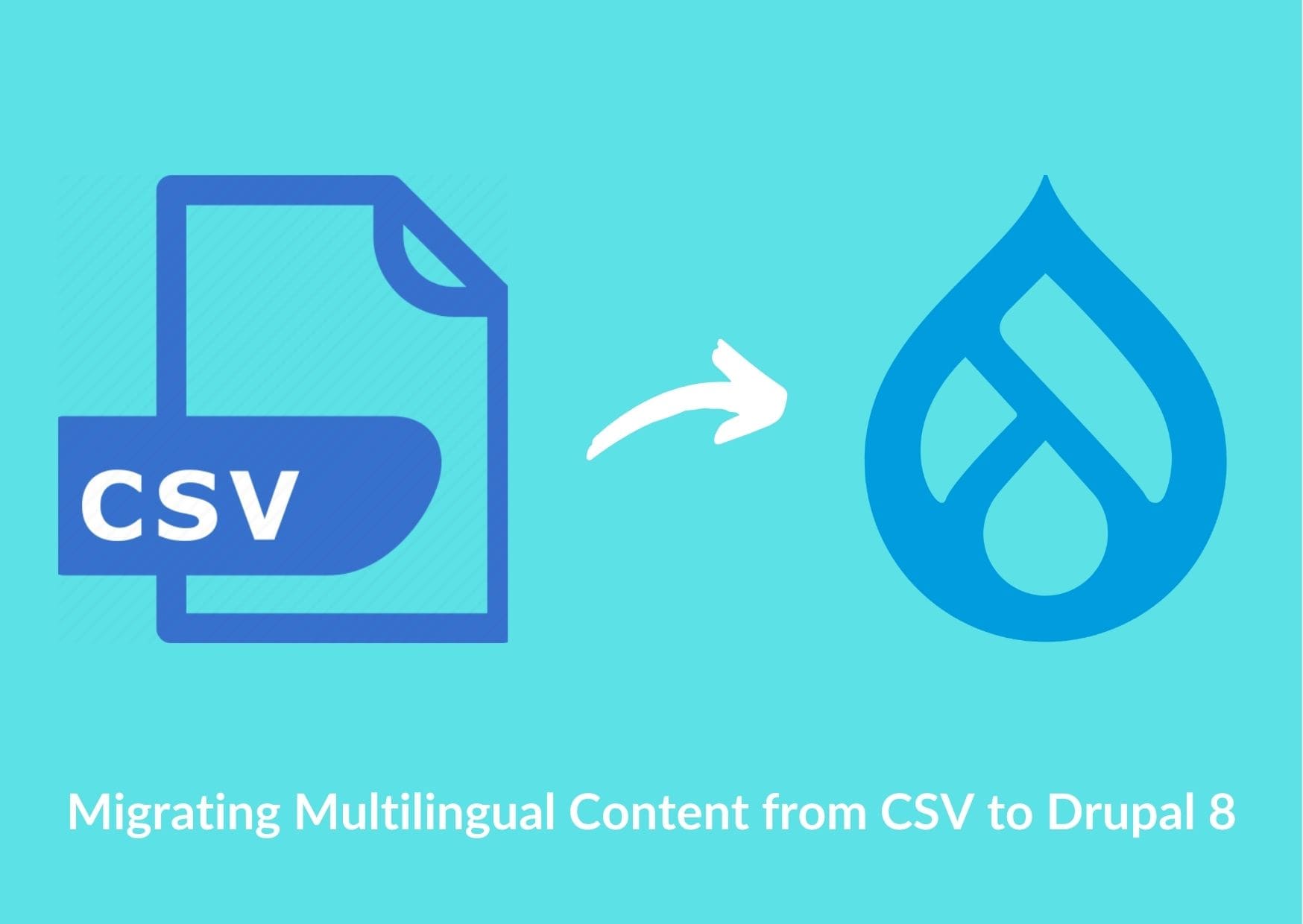 CSV Import