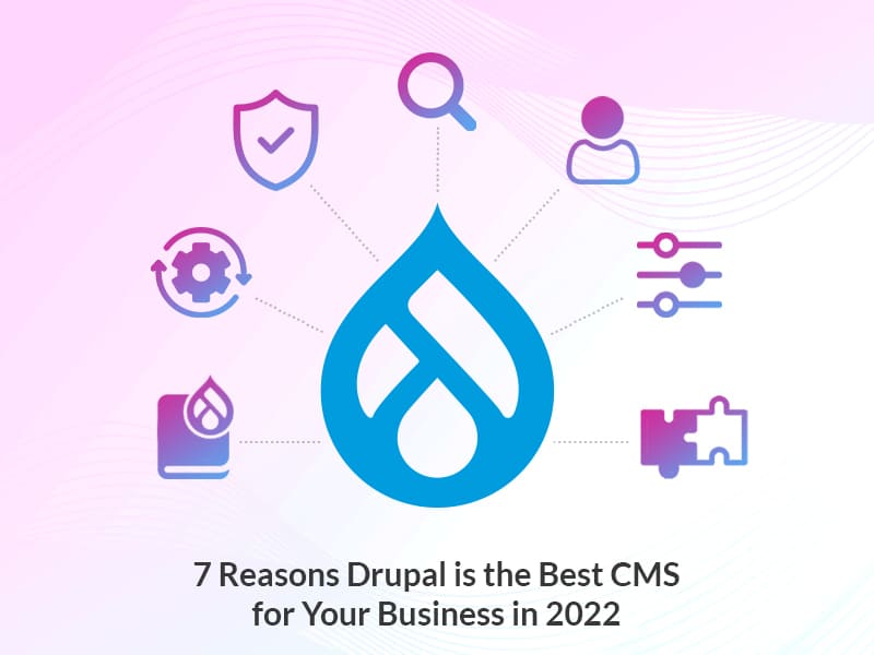 Drupal best CMS for Business
