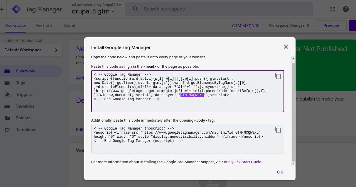 Tag Manager Code - get the container ID