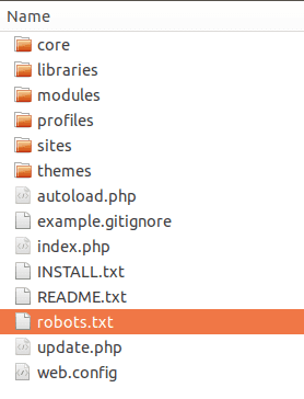 Remove Robots.txt file