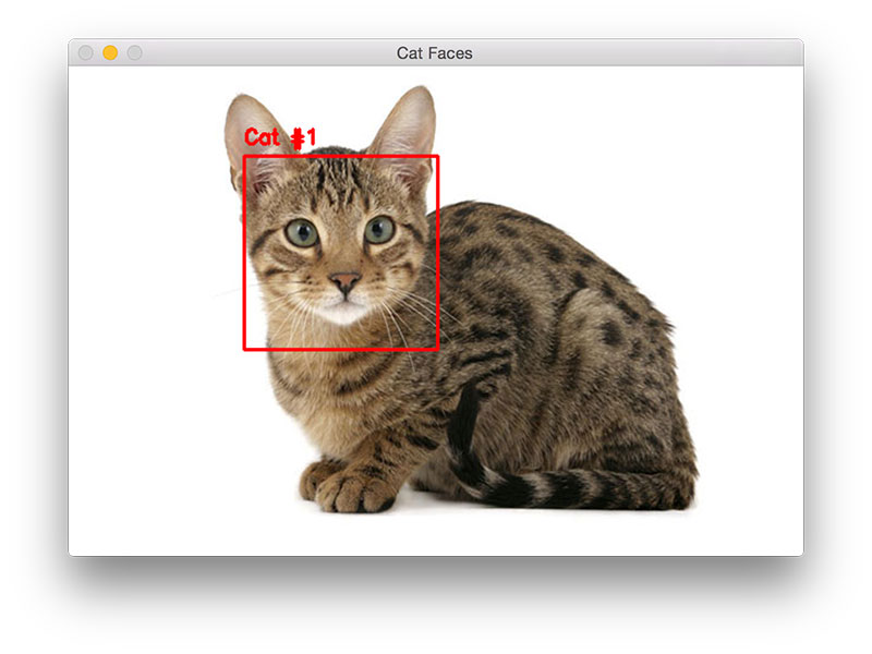 Neural Network - Cat Identification