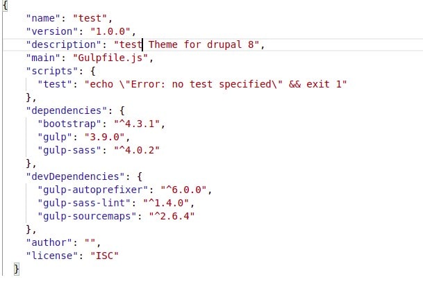 code node package manager