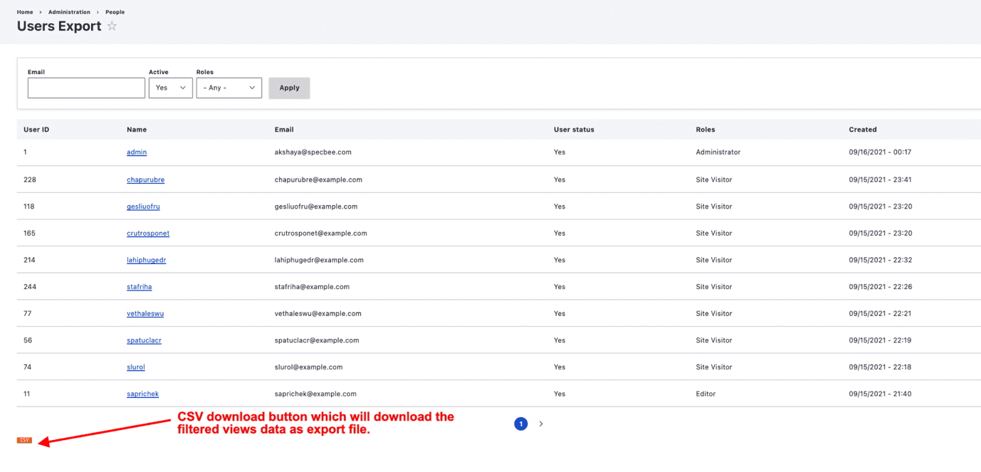 CSV Users download