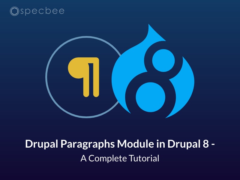 Drupal Paragraph modules