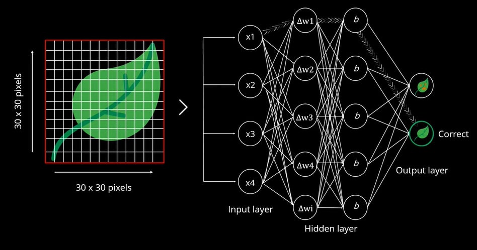 Neural network output