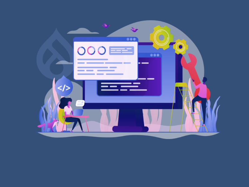 Drupal 9 Custom Module Development – A Beginners Guide