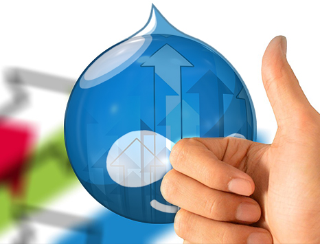 Drupal_CMS_for_Unique_Brand_Identity
