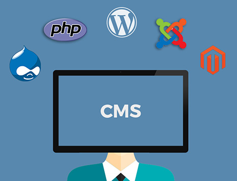 CMS - Best Way To Know Your Content