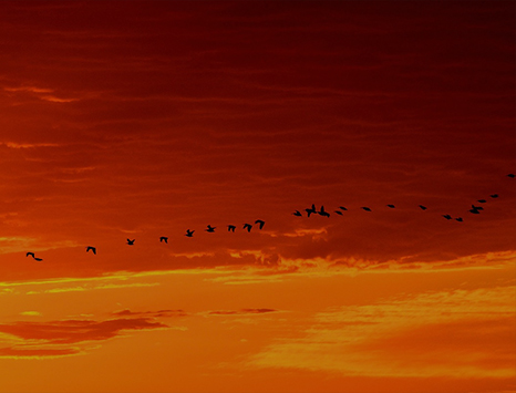 drupal_to_wordpress_migration