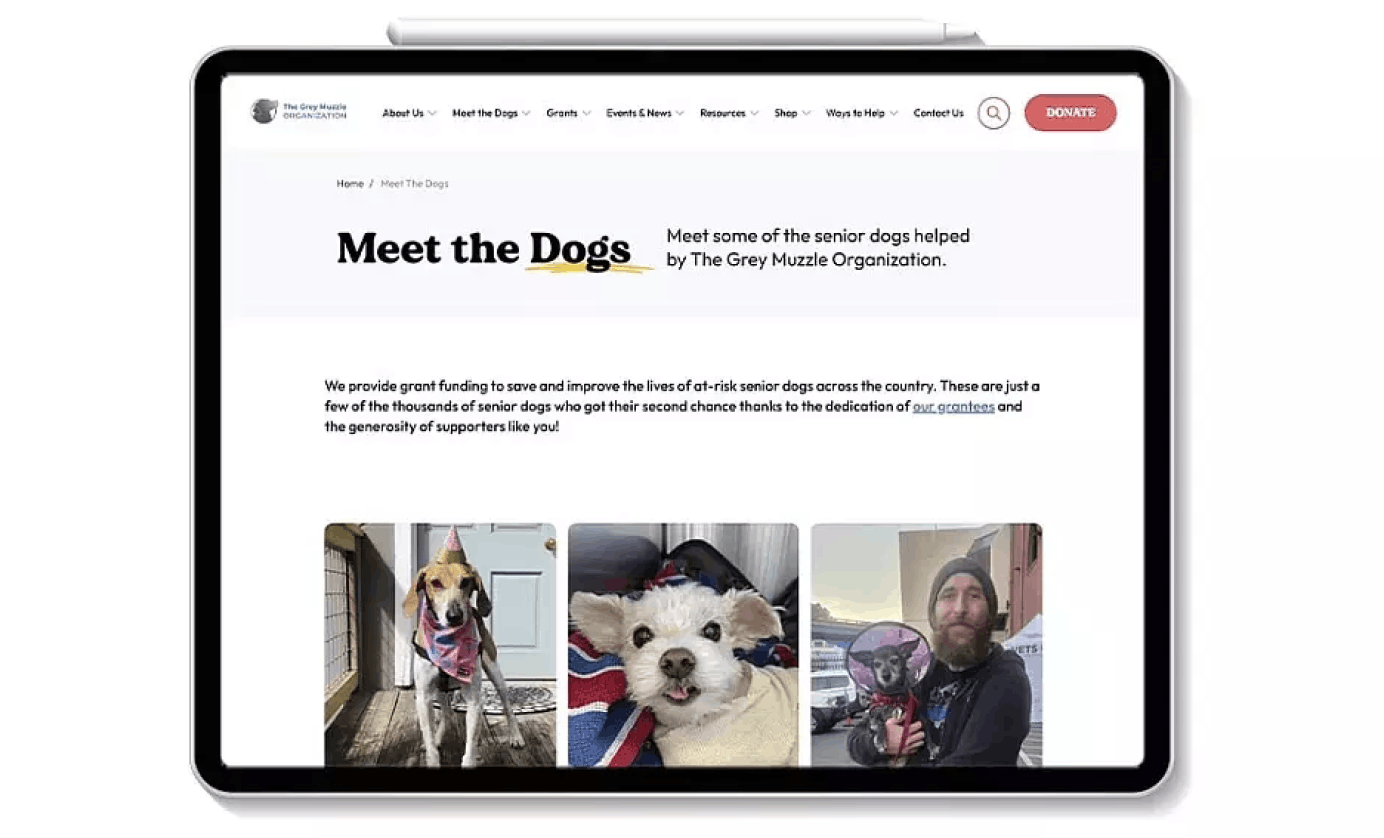 Redesign focused on mission clarity and donation conversion