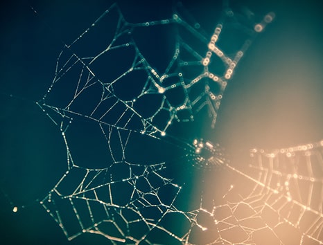 Neural Networks - What Does the Future of Artificial Intelligence Look Like?