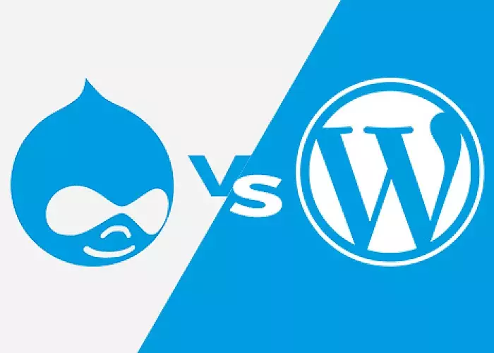 Drupal vs. WordPress – Finding the Best CMS Tool