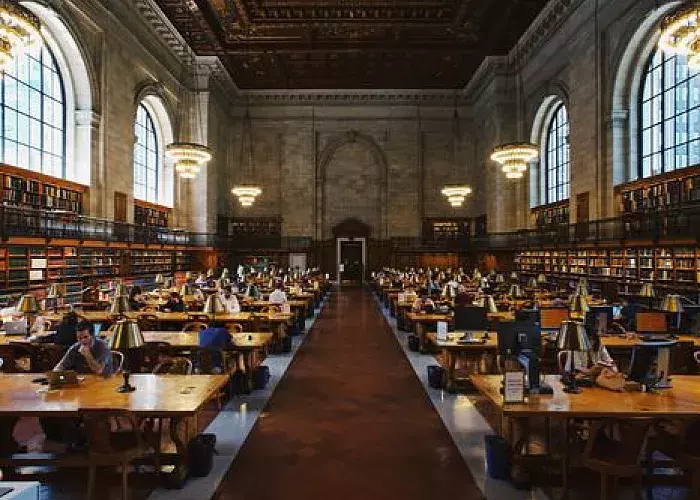 Guiding Higher Education