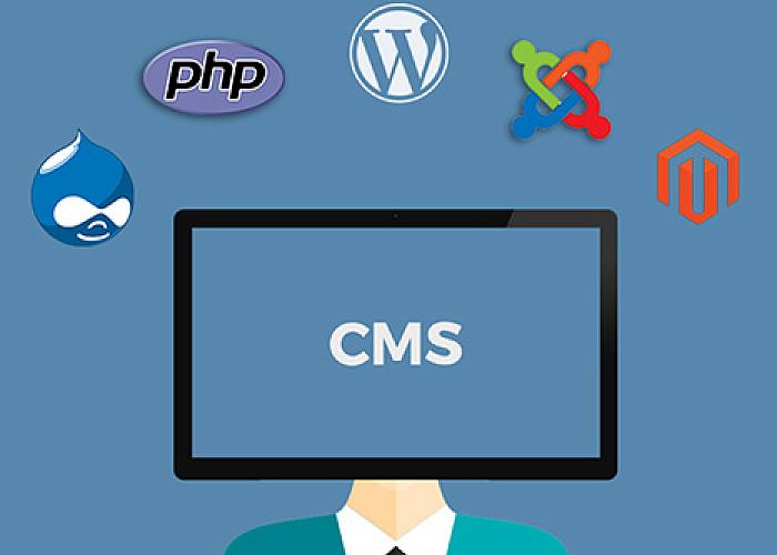 CMS - Best Way To Know Your Content