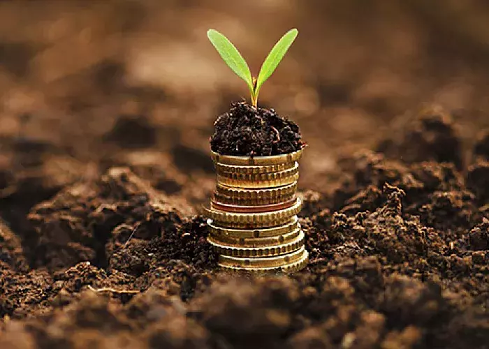 Drupal CMS : A Success Factor for Better ROI for Online Businesses