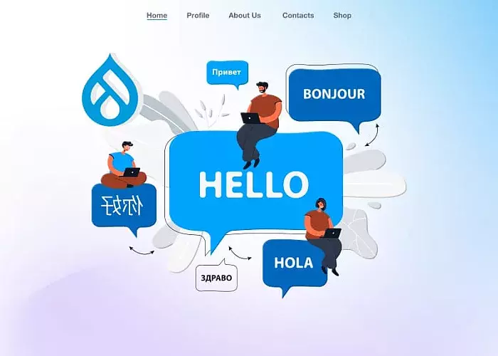 Multilingual Website Teaser