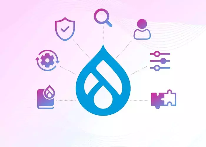 Drupal best CMS for business