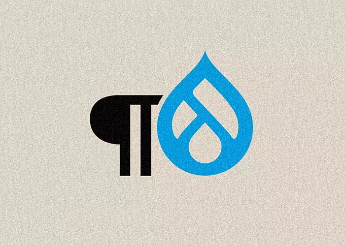 drupal paragraphs module teaser