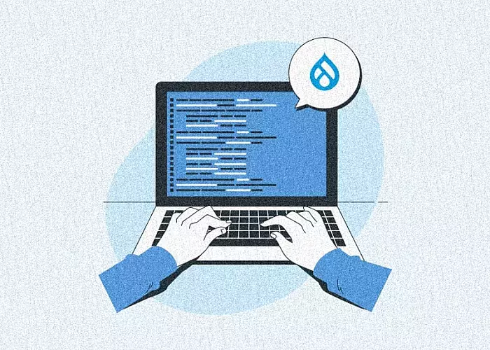Your Guide to the World of Drupal Developer Roles