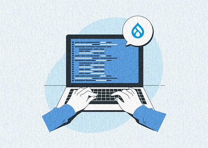 Your Guide to the World of Drupal Developer Roles