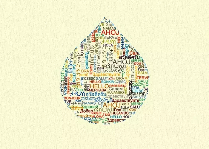 drupal translation module teaser