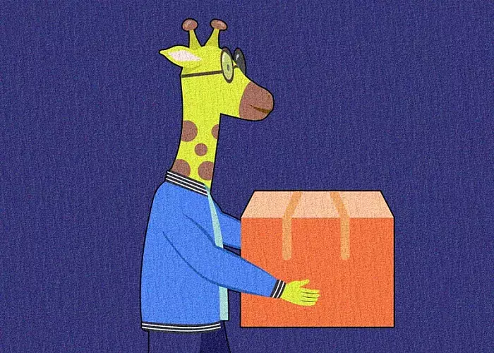 drupal code packagejson