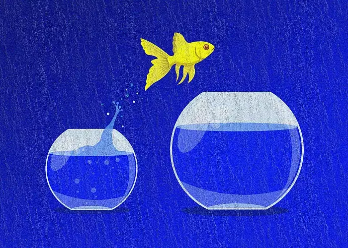 deployment and scaling