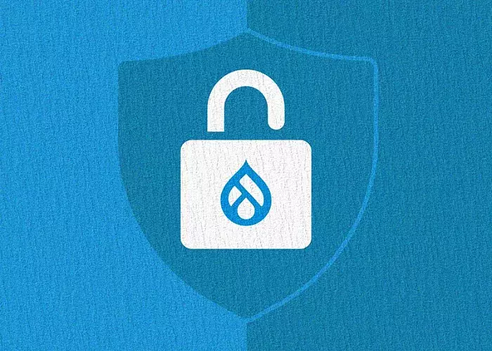 most installed drupal security modules