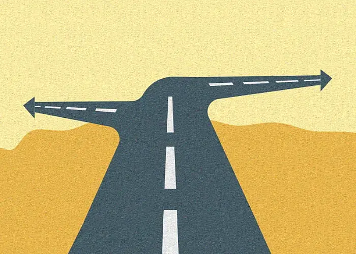 drupal agency vs web agency