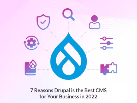 Drupal best CMS for Business