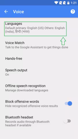 voice