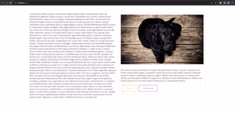 css_designs