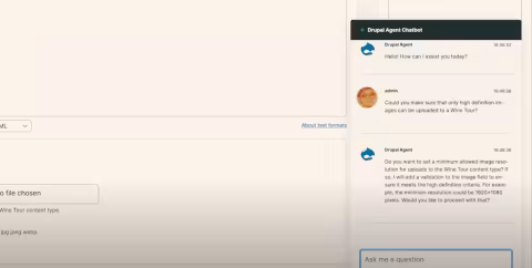 demo_ai_agent_chatbot