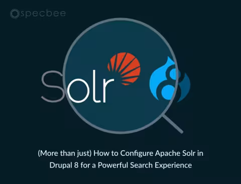Dupal-apache-solr