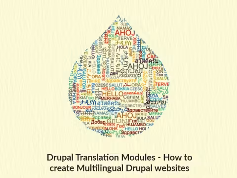 drupal_translation_modules