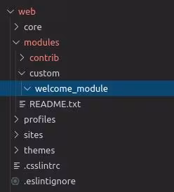 module development