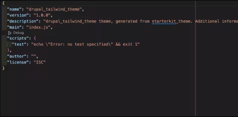 npm_init