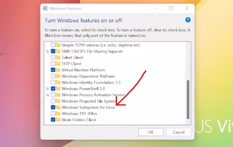 Turn Windows on
