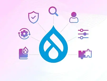 Drupal best CMS for business