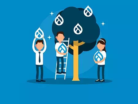 Drupal Contribution